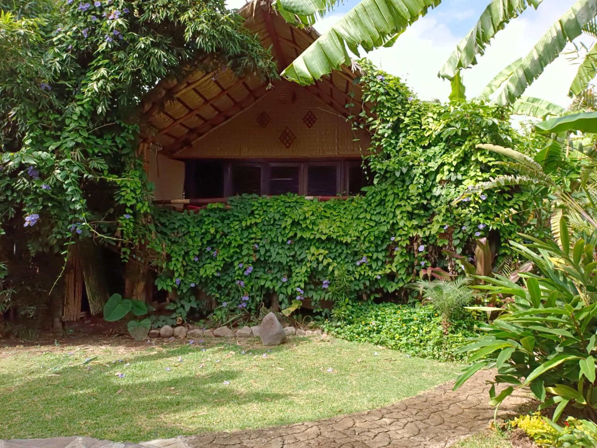 Eco Hotel Tahawi Ajijic Exterior photo
